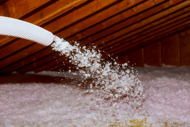 Best Local Insulation Services  in Waipahu, HI