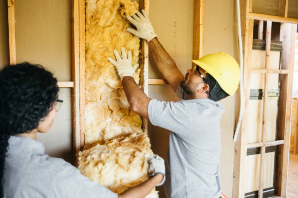 Best Insulation Inspection Services  in Waipahu, HI